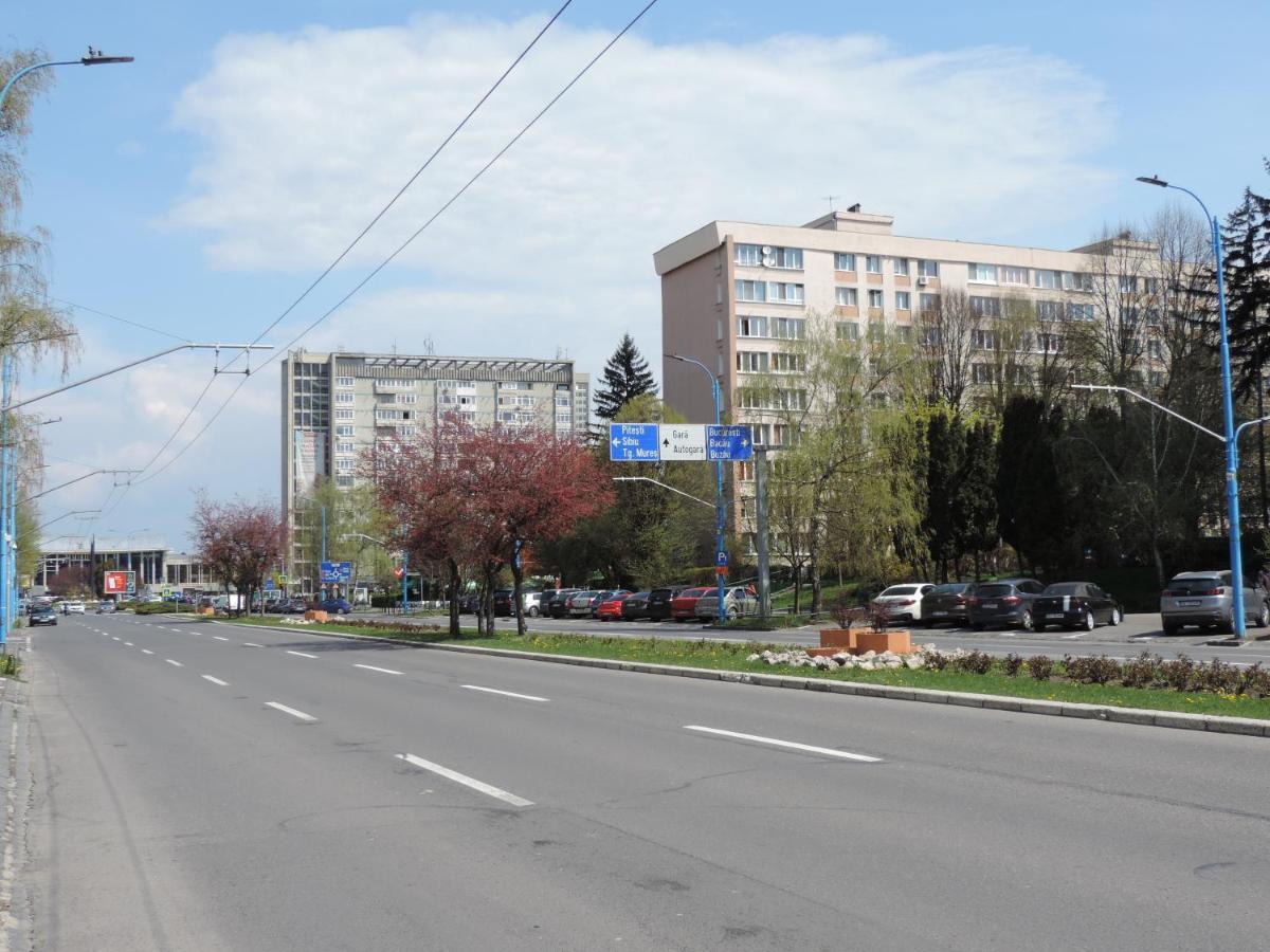 Victoriei Boulevard Private Apartment Braszów Zewnętrze zdjęcie