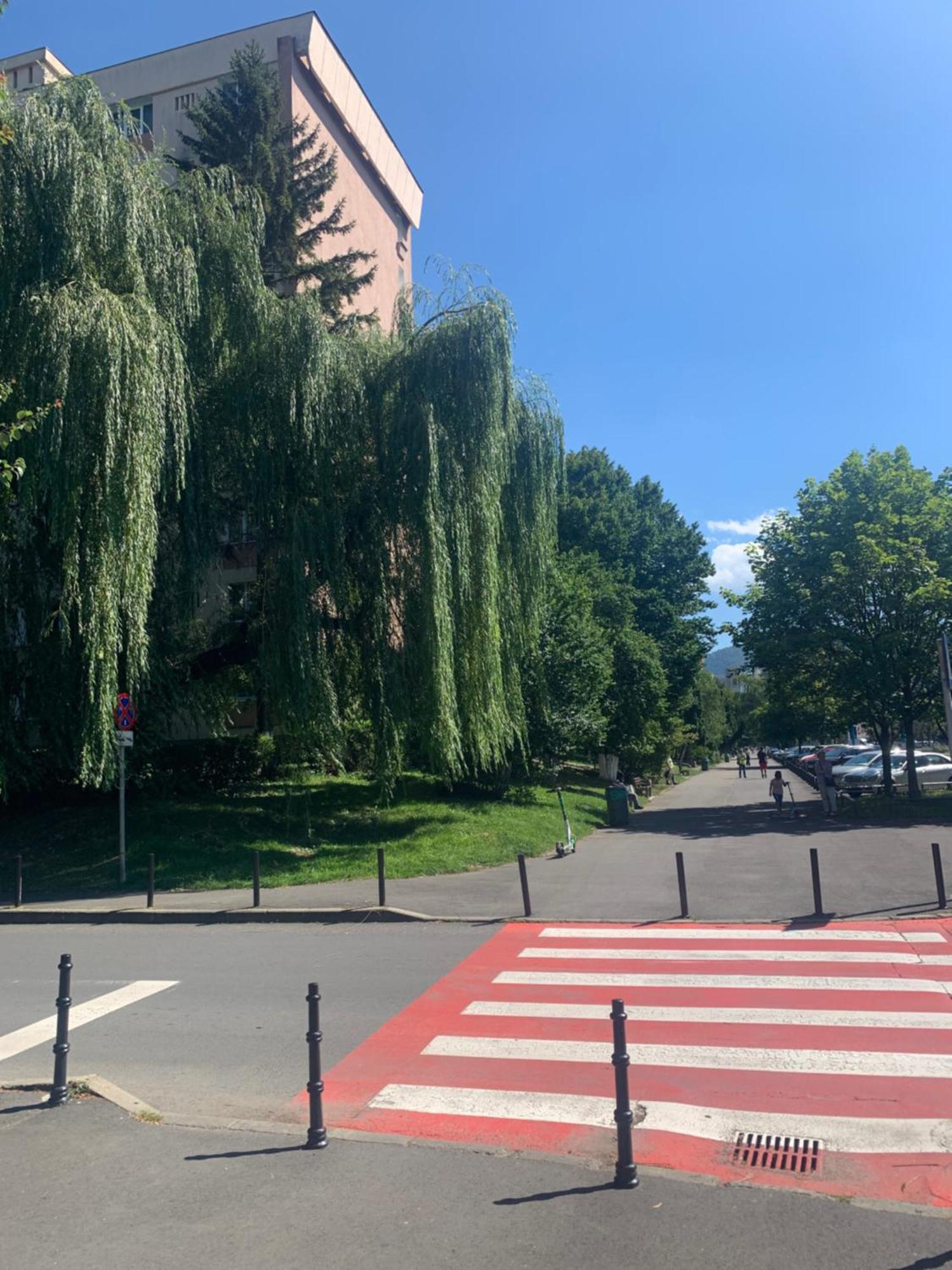 Victoriei Boulevard Private Apartment Braszów Zewnętrze zdjęcie