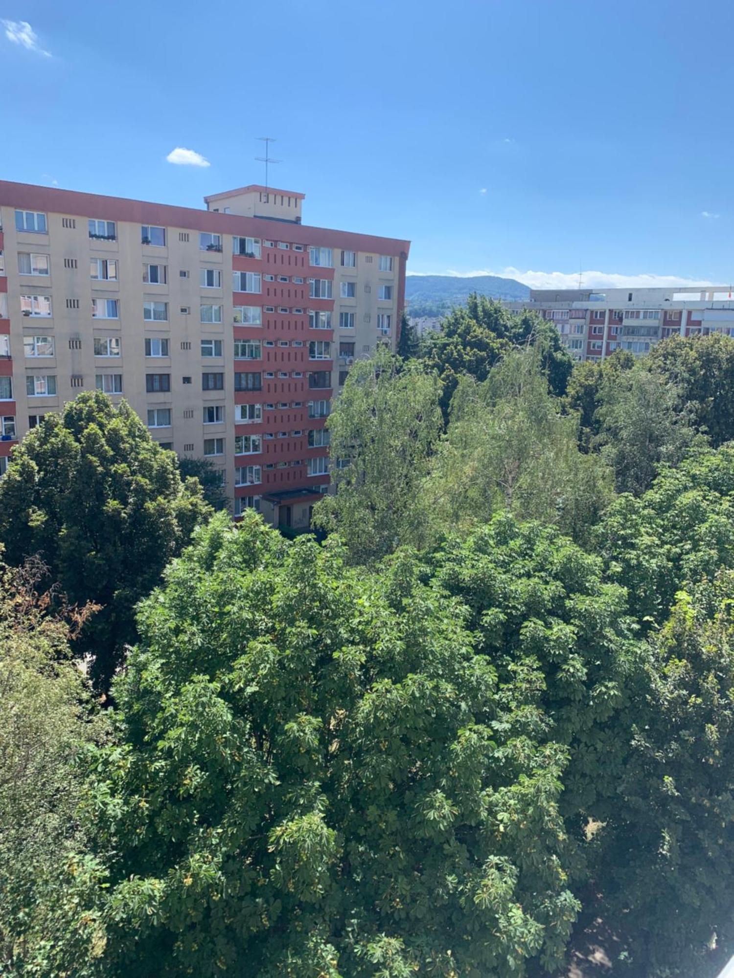 Victoriei Boulevard Private Apartment Braszów Zewnętrze zdjęcie